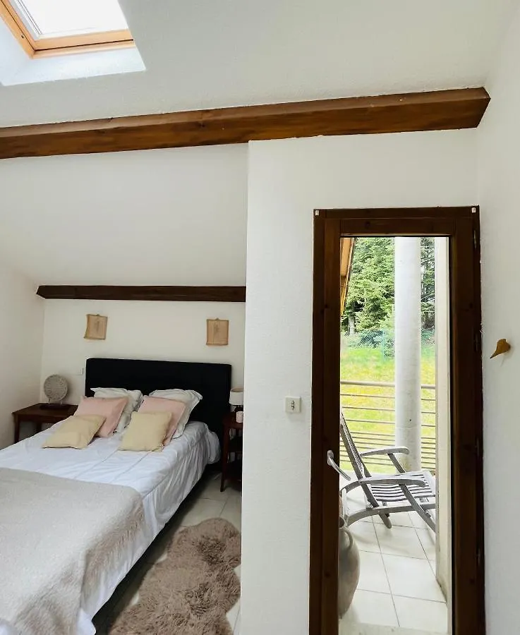 Le chantoiseau avec terrasse et parking Le Chambon-sur-Lignon 0*,  France
