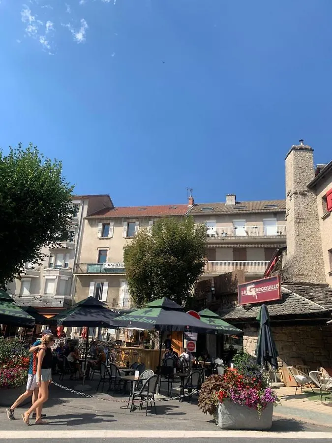 Appartement Le chantoiseau avec terrasse et parking Le Chambon-sur-Lignon France